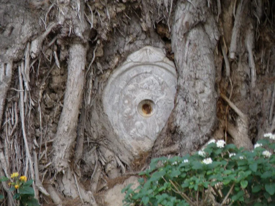 la sicilia abbracccia il giappone v edizione 86