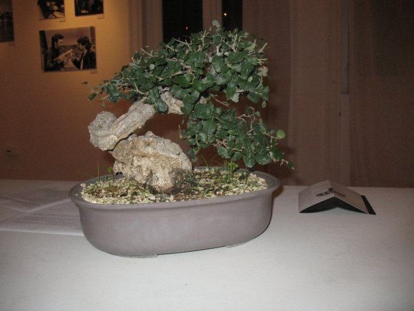 la sicilia abbraccia il giappone iii edizione 1