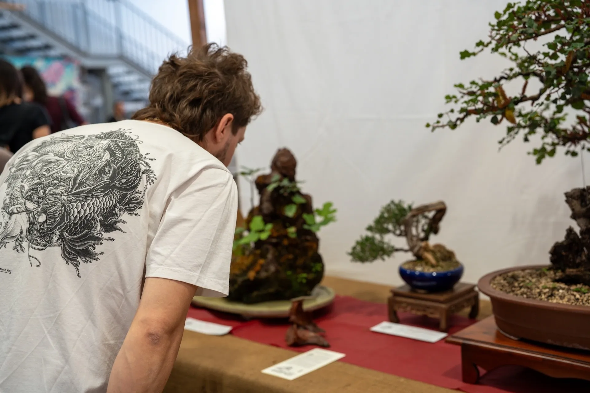 la sicilia abbraccia il giappone decima edizione 14