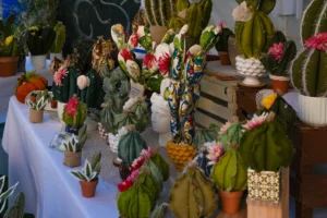 la sicilia abbraccia il giappone decima edizione 171