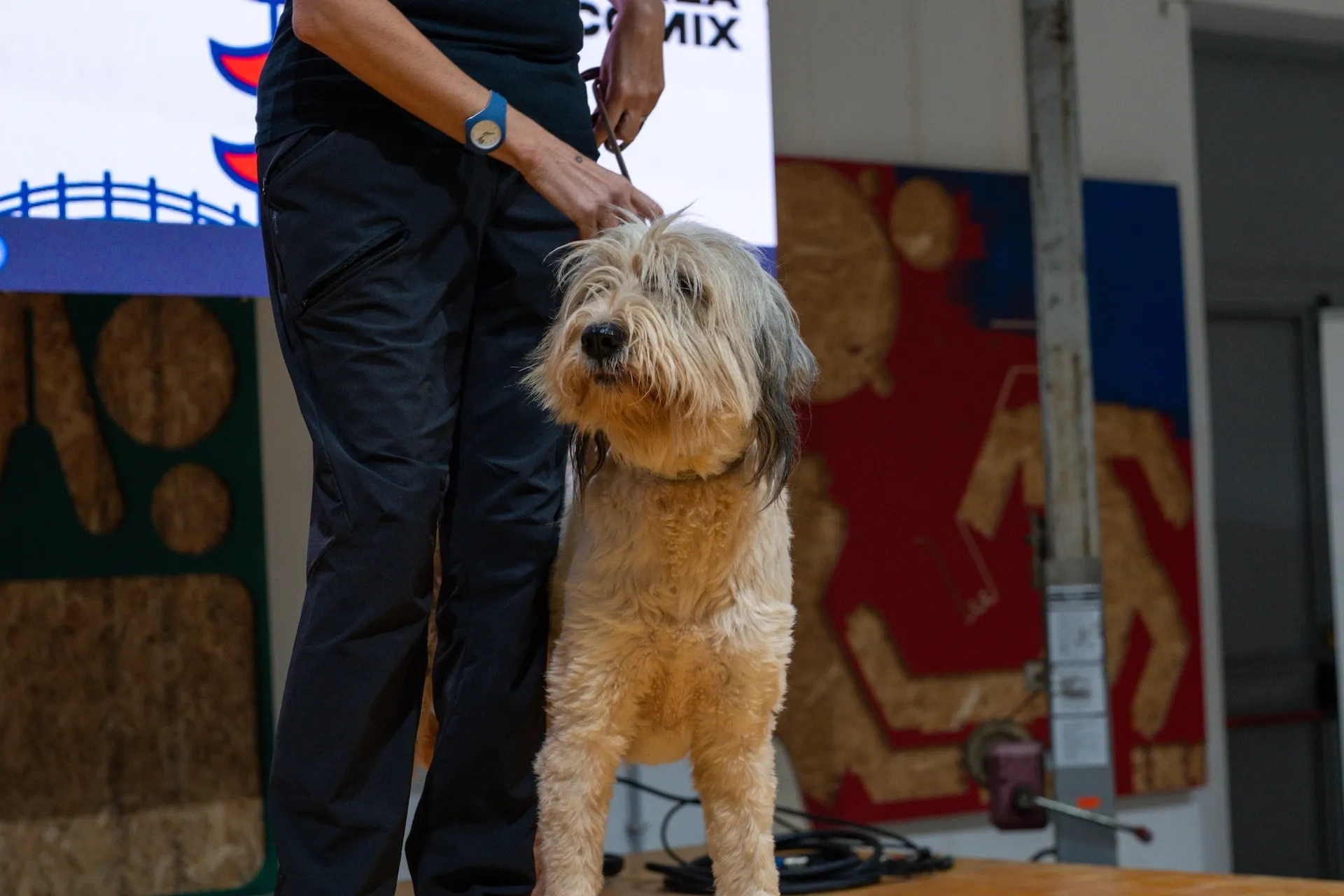 la sicilia abbraccia il giappone decima edizione 274