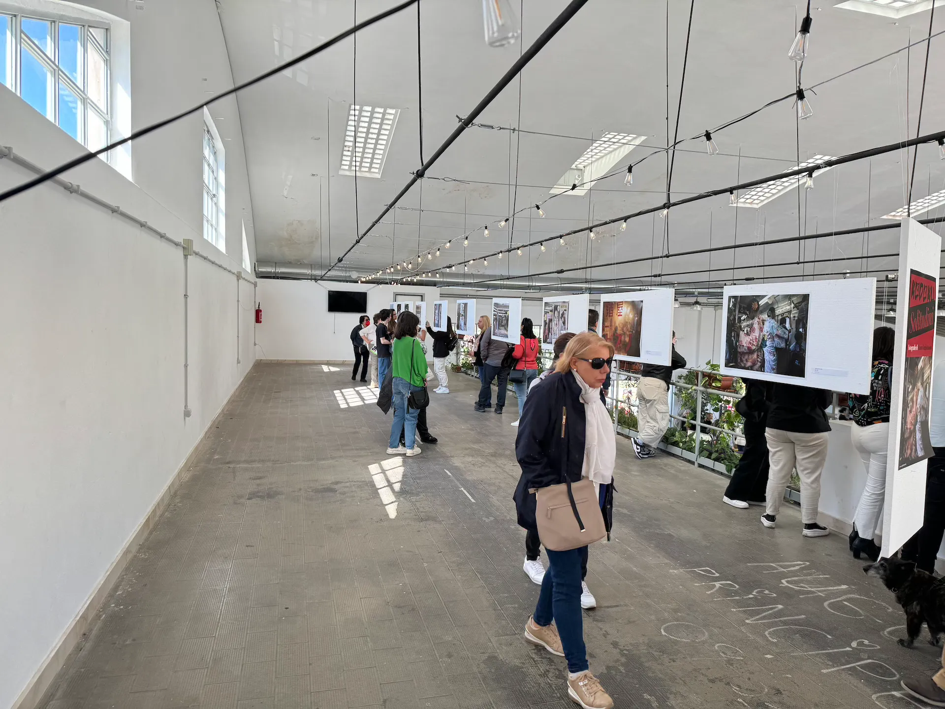 la sicilia abbraccia il giappone nona edizione 142