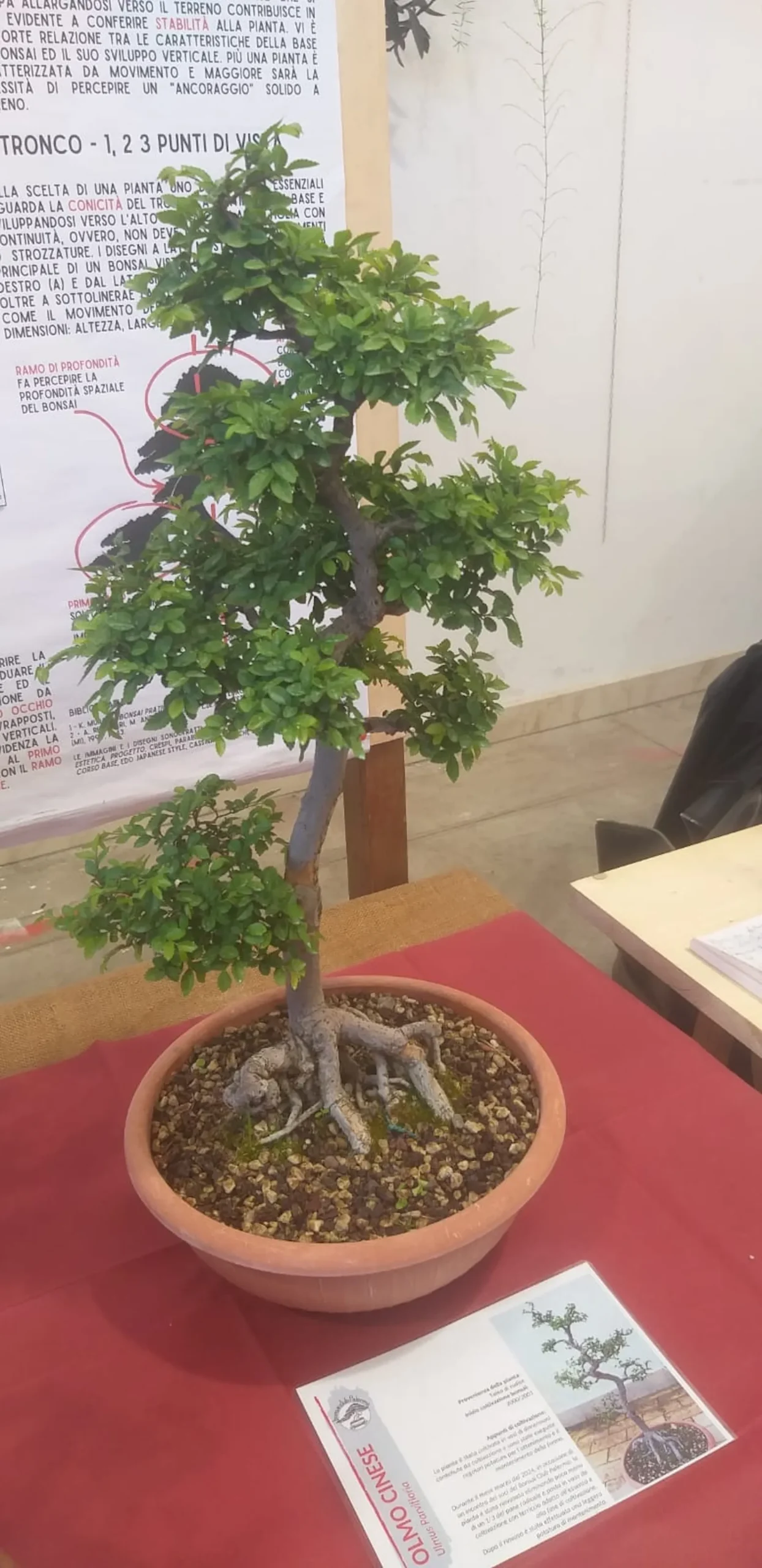 la sicilia abbraccia il giappone nona edizione 191